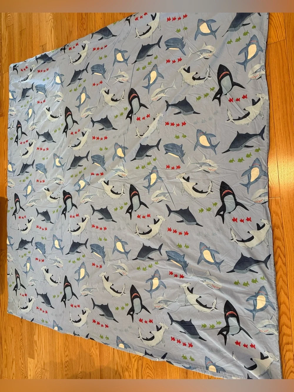 Pottery Barn Kids Shark Bite duvet cover featuring blue sharks
